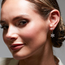Load image into Gallery viewer, Céleste Astoria Snow Pavé Drop Earrings