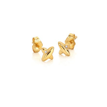 Load image into Gallery viewer, HD X Golden Edit Coupled Earrings