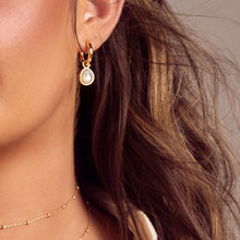 Load image into Gallery viewer, HD X Golden Edit Calm Mother Of Pearl Earrings