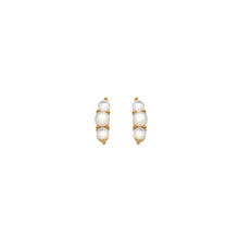 Load image into Gallery viewer, HD X Golden Edit Calm Mother Of Pearl Stud Earrings