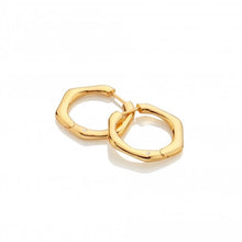 Load image into Gallery viewer, HD X Golden Edit Fluid Earrings
