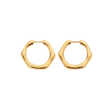Load image into Gallery viewer, HD X Golden Edit Fluid Earrings