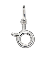 Load image into Gallery viewer, Zodiac Pendant