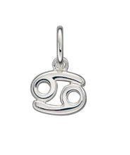 Load image into Gallery viewer, Zodiac Pendant