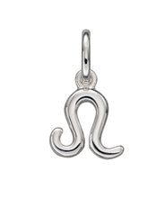 Load image into Gallery viewer, Zodiac Pendant