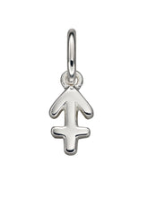 Load image into Gallery viewer, Zodiac Pendant