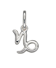 Load image into Gallery viewer, Zodiac Pendant
