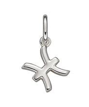 Load image into Gallery viewer, Zodiac Pendant