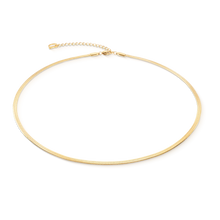 Load image into Gallery viewer, Flat Snake Chain Necklace Gold Tone
