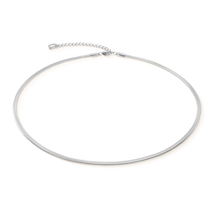 Load image into Gallery viewer, Flat Snake Chain Necklace Silver Tone
