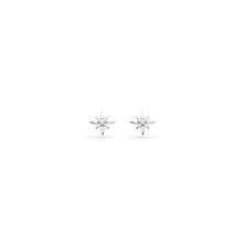 Load image into Gallery viewer, Céleste North Star Petite Stud Earrings
