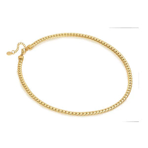 Ecclectica Necklace - Flat Chain Yellow PVD