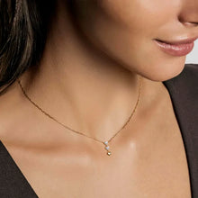 Load image into Gallery viewer, Precious Moves Necklace - Silver Clear Cubic Zirconia Hearts
