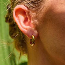 Load image into Gallery viewer, Chubby Waterproof Hoop Earrings - Gold Plated
