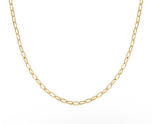 Load image into Gallery viewer, Ecclectica Chain Necklace - Yellow PVD
