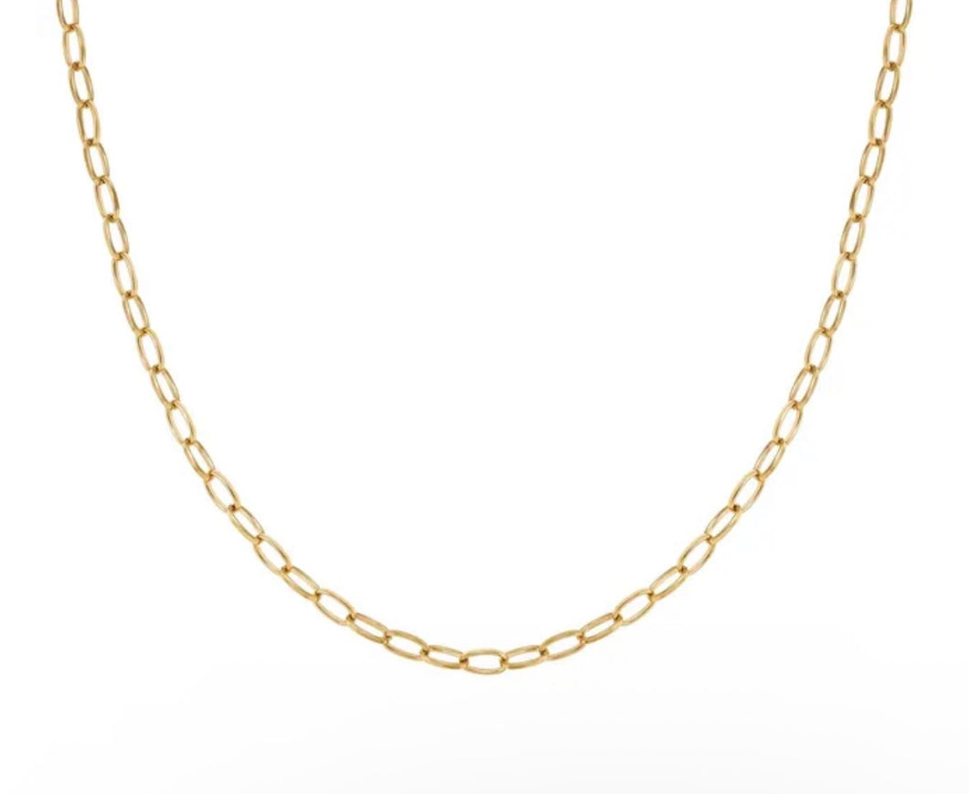 Ecclectica Chain Necklace - Yellow PVD