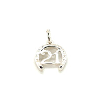 Load image into Gallery viewer, Silver 21 Horseshoe Charm
