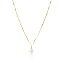 Load image into Gallery viewer, Necklace Padua Uno - 18K Gold Plated With Fresh Water Pearl
