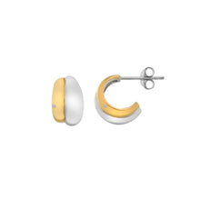Load image into Gallery viewer, Droplet Two Tone Earrings
