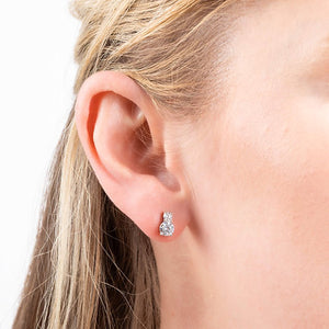 Duo Zirconia Stud Earrings