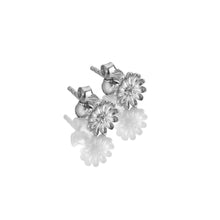 Load image into Gallery viewer, Silver Whisper - Good Luck Earrings
