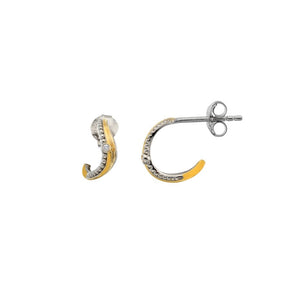 Teardrop Two Tone Earrings