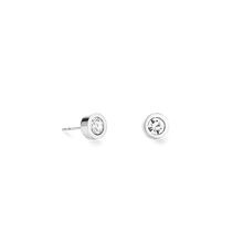 Load image into Gallery viewer, Earrings Crystal &amp; Stainless Steel Silver Crystal
