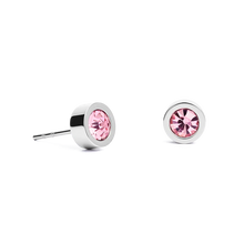 Load image into Gallery viewer, Earrings Crystal &amp; Stainless Steel Silver Rose
