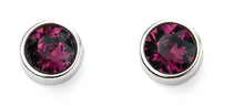 Load image into Gallery viewer, February Crystal Birthstone Earrings
