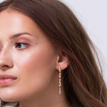 Load image into Gallery viewer, Earrings Antella Lungo - With White Zirconia
