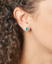 Load image into Gallery viewer, December Crystal Birthstone Earrings
