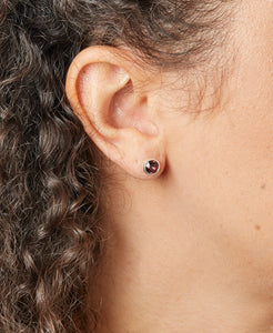 January Crystal Birthstone Earrings